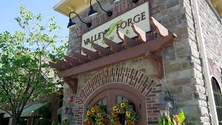 Barb King | Valley Forge Flowers | Show Opener