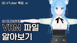 So, What Are VRM Files [3D Special #2]