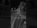 من يألف الخاطر محمد الغبر جديد