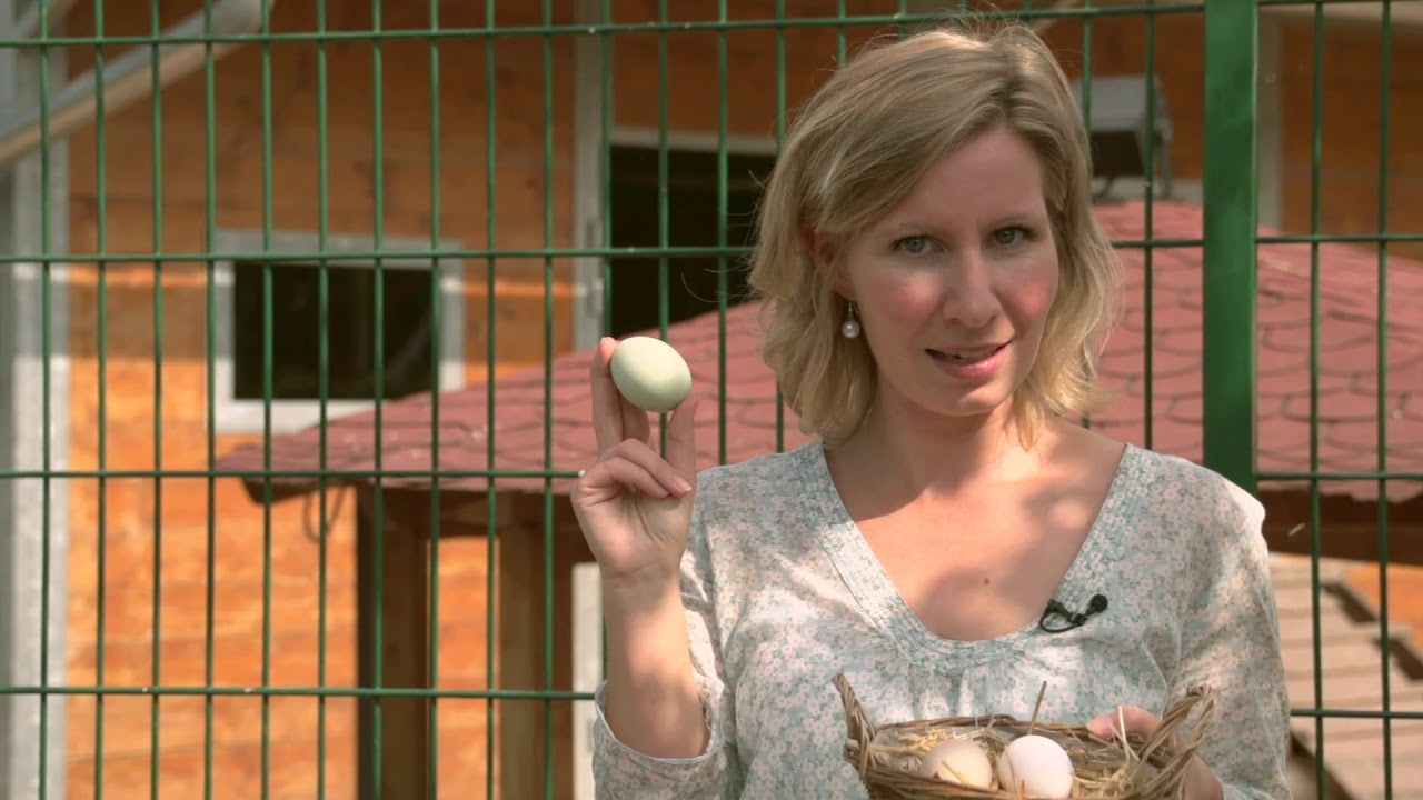 Erlebnisbauernhof Gertrudenhof Hürth