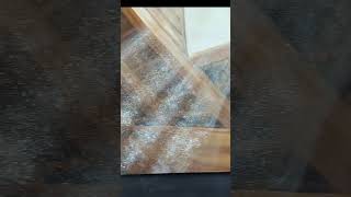 Day 26/ Spiritual Art/ Acrylic Painting on Canvas/ Dust Dance