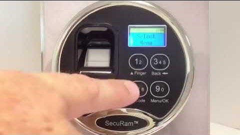 SECURAM ScanLogic Audit - Delete One User