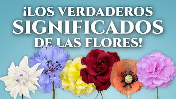 ¿Cuál es el significado de las flores?