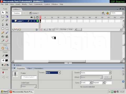 FLASH Interface