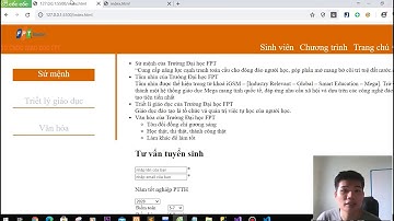 PE WEB201C đại học FPT kì SUMMER 2020 đá lại - xử lý phần JavaScript