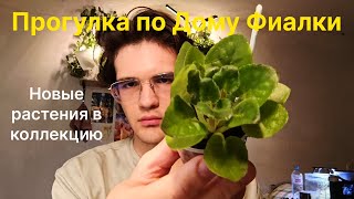 :  ! /      /     