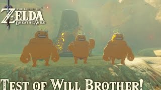 TLoZ: Breath of the Wild - Test of Will Brother!