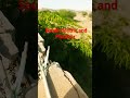 Wire light connection saudia arb