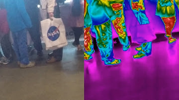 Environmental and Body Temperature -- Animals & Humans