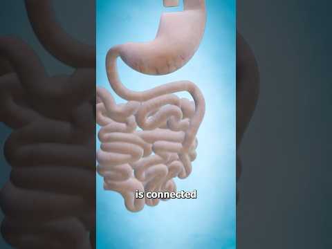 Gastric Bypass Surgery Explained Surgeon Reacts 