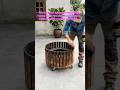 DIY Tire-to-Timber Mobile Planter