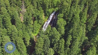 "Forests make us more resilient"- COP23 Global Climate Action Day on Forests