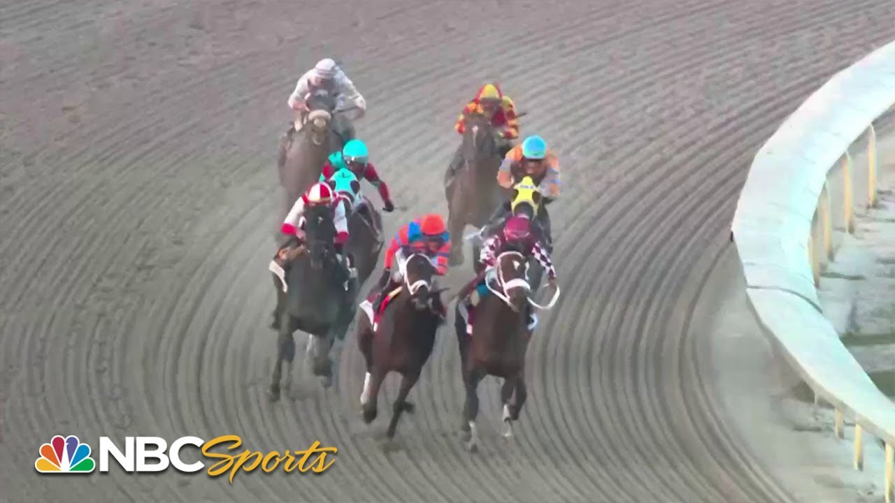 The Holy Bull Stakes 2024 FULL RACE  NBC Sports