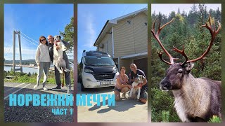 картинка: 20. Норвежки мечти - част 1