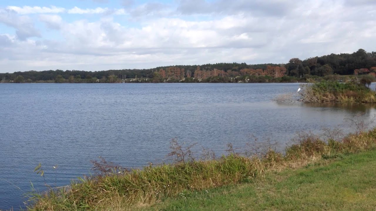 Lake Lafayette Fall Colors