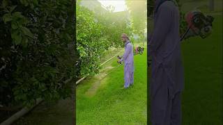 Bag Mein Bush cutter chalaya! Bag Mein Ghas kaatne Ka Tarika! Bush cutter#shortvideo