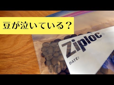 ジップロックにコーヒー豆を保管するとどうなるか　ペットボトルに保管した豆と比較してみた