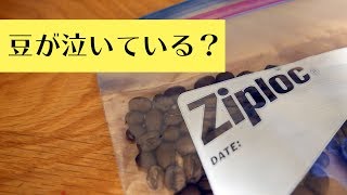 ジップロックにコーヒー豆を保管するとどうなるか　ペットボトルに保管した豆と比較してみた