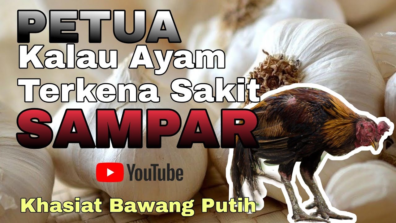 (EP16) - BAWANG PUTIH/Petua Cegah Sampar Orang Tua² Zaman Dulu