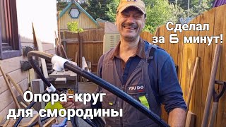 Опора  круг для смородины за 6 минут