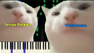 IEVAN POLKKA x WELLERMAN MASHUP!!