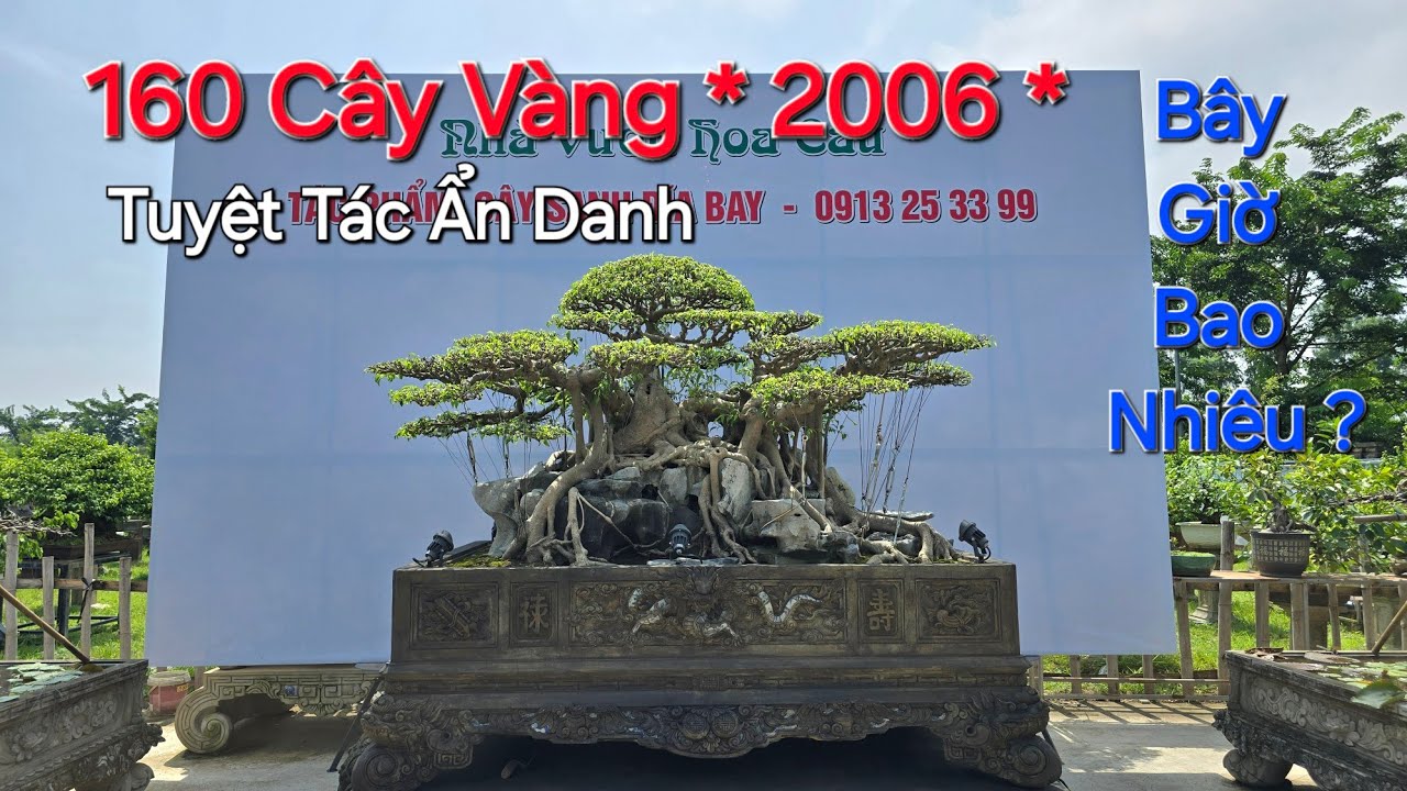TÌM HIỂU TP SANH CỔ ĐĨA BAY * Đại Gia * từng chi ra 160 CÂY VÀNG 2006 - BÂY GIỜ THÌ BAO NHIÊU ?