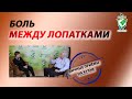 Боль между лопатками и в пояснице. Иммунитет против людей вампиров. Личный приём Руденко В.В.