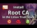 Install a Root CA in the Linux Trust Store (Ubuntu, Debian, RHEL, SUSE)