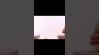 Arbys Jfk Sandwich Meme Shorts Version