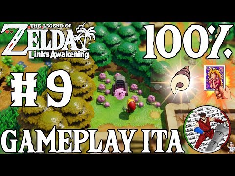 Video: Zelda: Link's Awakening - Spiegazione Della Casa Fantasma Rosa E Della Tomba Con I Fiori