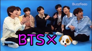 【BTS】可愛いで溢れるBTS×🐶の癒し動画