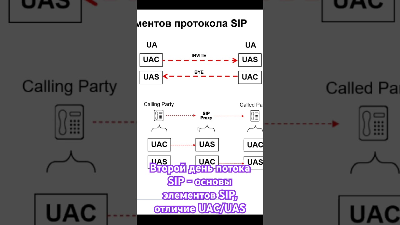 Второй день потока курса SIP 