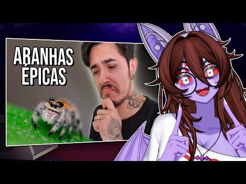 ARANHAS SÃO MANEIRAS (eu sou uma aranha eu) | Dante Reage