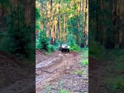 Don’t touch my Truck | Nissan GU Patrol | 4X4 Noojee