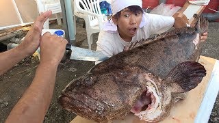 20kg超の巨大毒魚(ハタ)を捌いて、皆で食べた結果…