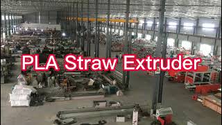 drinking straw making machine | plastic straw making machine | pla straw making machine