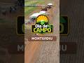 Dia de Campo COMIGO 2025 - Montividiu