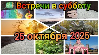 видео: Встречи в субботу. Вязальный влог картинка: Встречи в субботу. Вязальный влог