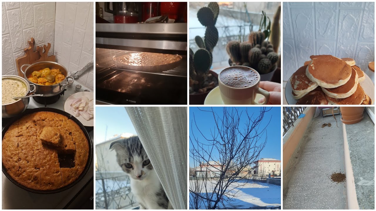 ASEL UYURKEN YEMEK YAPTIM, DISARIDAKI HAYVANLARI UNUTMAYALIM, AKSAMA KAYINBABAM GILCELECEK  KAHVEM 