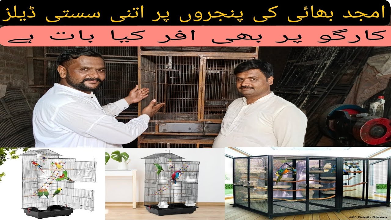 Amjad Birds Cage Maker Jo Naam Hai Etmad ka #RanaBirdsAviary #birds # ...