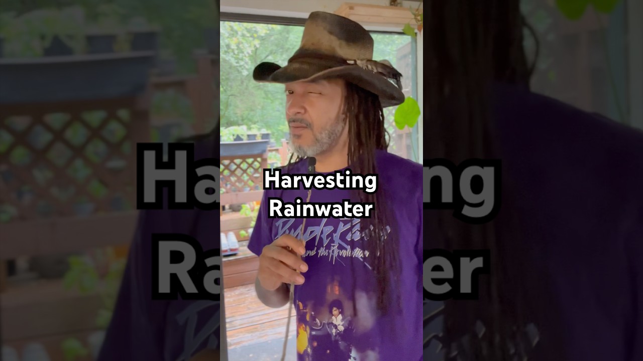 Why is Rainwater better?