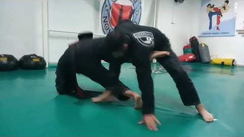 Worm Guard Berimbolo