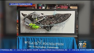 How you can get involved in marine conservation