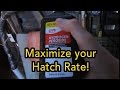 Simple trick to increase poultry hatch rate | Incubating in the winter