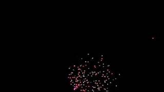 Slow motion Fireworks 300 fps. Time warp video with Casio Exilim F1