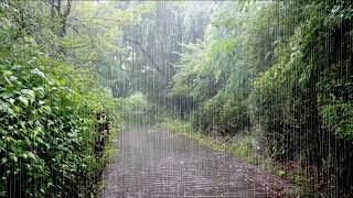Best Rain Sounds for Deep Sleep, No Mid-Roll Ads, Sleep-Inducing Nature Sounds, Healing Forest Rain