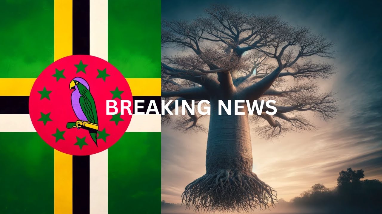 Dominica's Visa Sanctions: Money, Passports