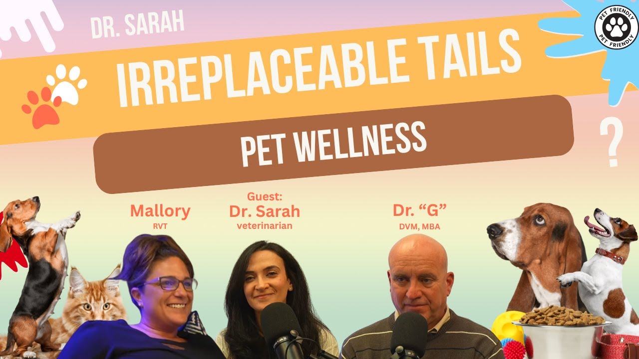 Dental Drama, Raw Diet Risks & Blind Pets | Dr. Sarah on Pet Wellness | Irreplaceable Tails