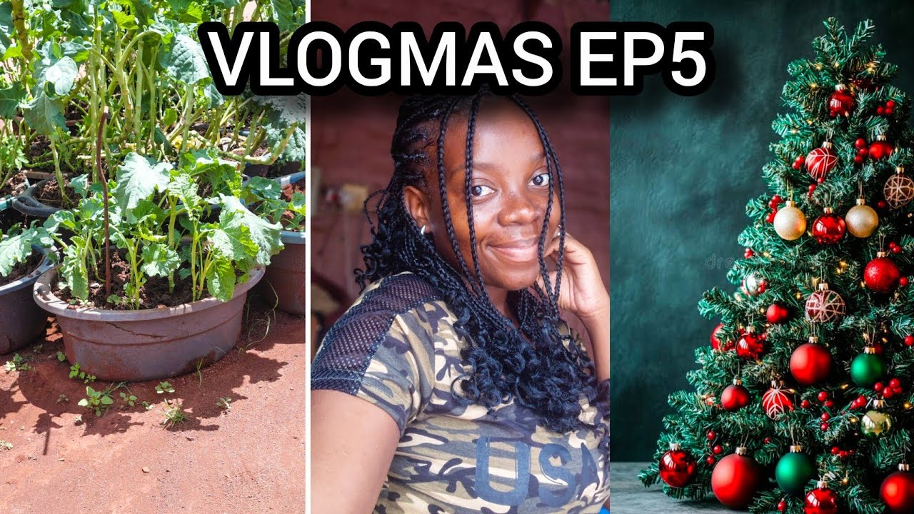 Влогмас, день 5 | Обустройство нашего мобильного сада, приготовление ужина и немного рождественск...