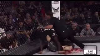 Mma Knockouts Of 2022